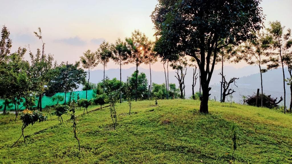 The Morni Farmstay - Image 2